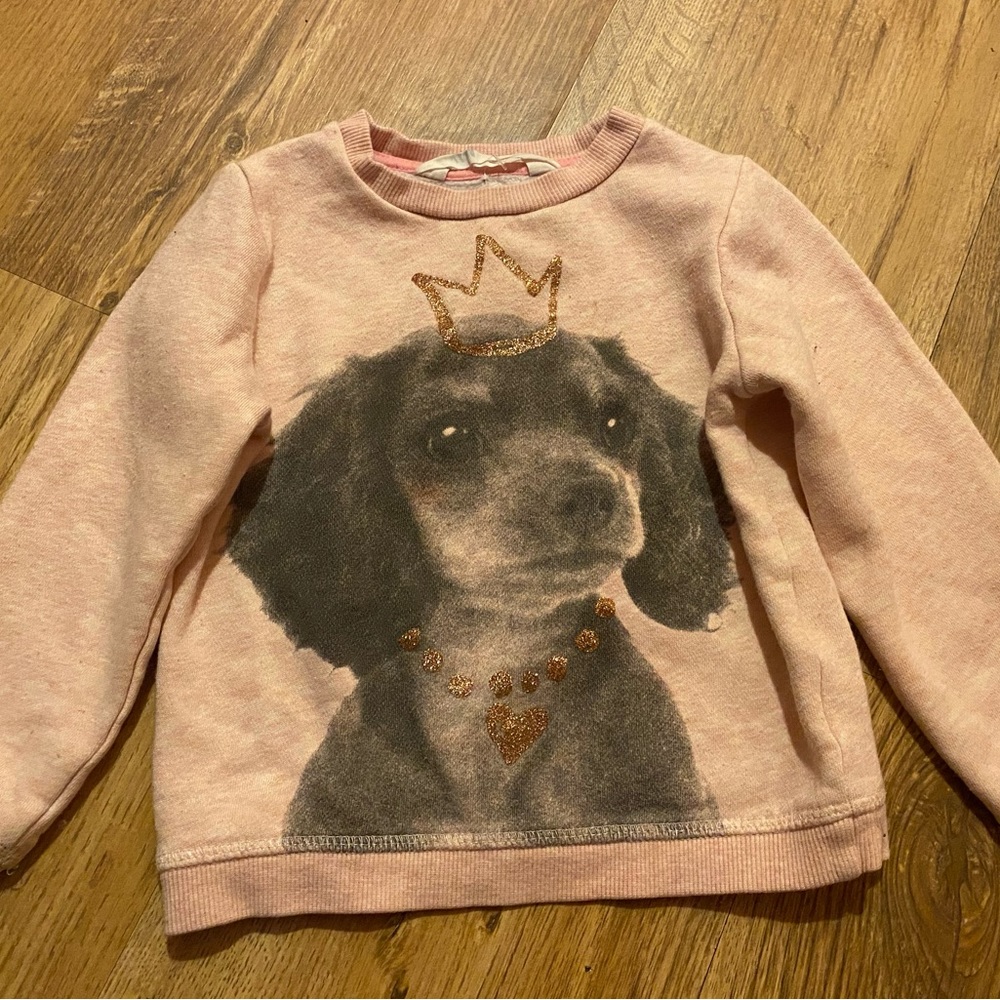 H&M Toddler Girl Princess Dog Sweatshirt 1.5-2 years (18-24 months)